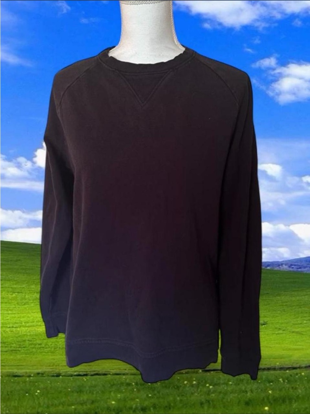 Reebok crewneck